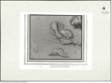 Vorderseite von bh437969_recto