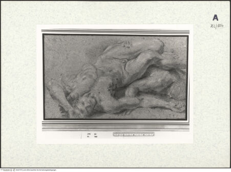 Vorderseite von bh437970_recto