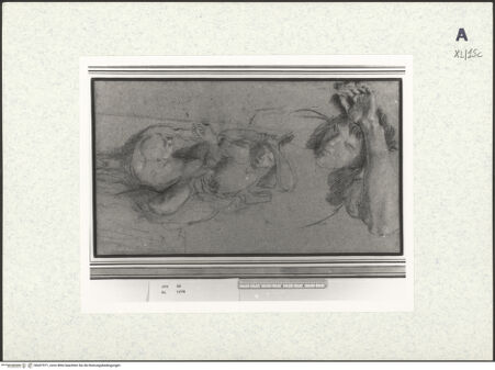 Vorderseite von bh437971_recto