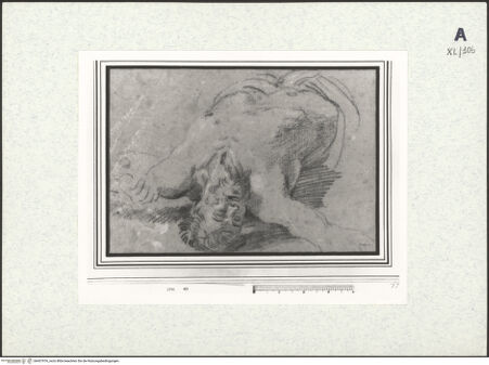 Vorderseite von bh437976_recto