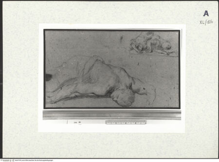 Vorderseite von bh437978_recto