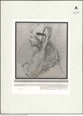 Vorderseite von bh437982_recto