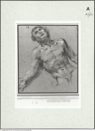 Vorderseite von bh437987_recto