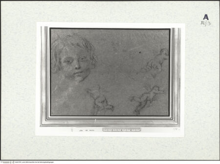 Vorderseite von bh437991_recto