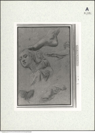 Vorderseite von bh437993_recto