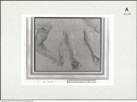 Vorderseite von bh437995_recto