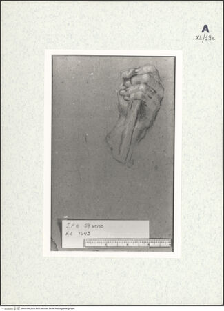 Vorderseite von bh437996_recto