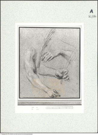 Vorderseite von bh438004_recto