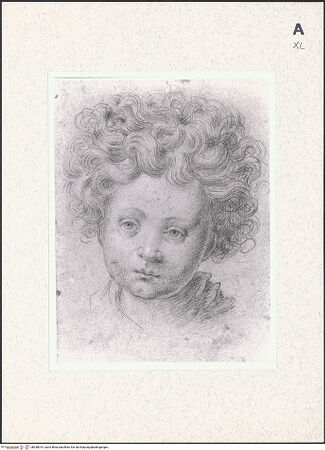 Vorderseite von bh438015_recto