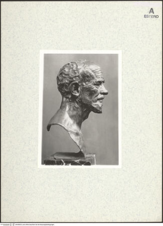 Vorderseite von bh438029_recto