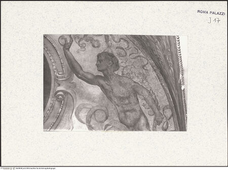 Vorderseite von bh438040_recto