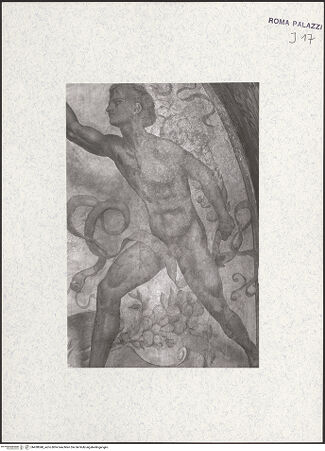 Vorderseite von bh438048_recto