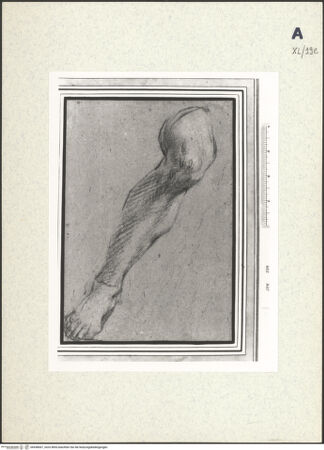 Vorderseite von bh438067_recto