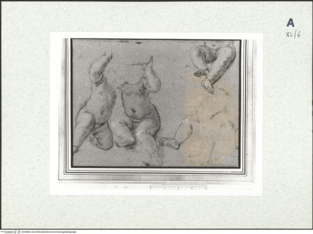 Vorderseite von bh438069_recto