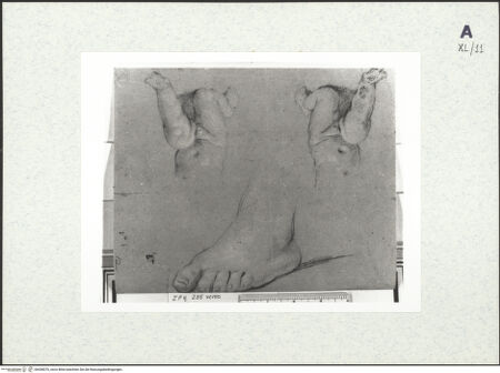 Vorderseite von bh438070_recto