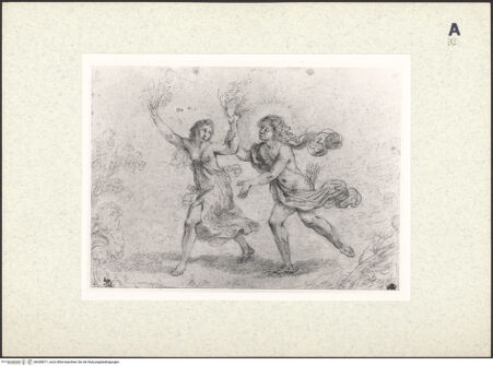 Vorderseite von bh438071_recto