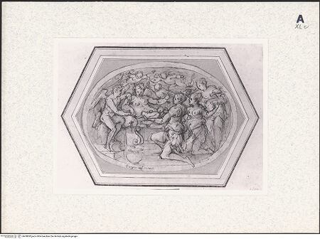 Vorderseite von bh438093_recto