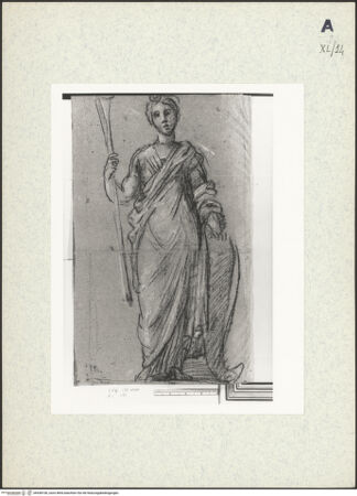 Vorderseite von bh438106_recto