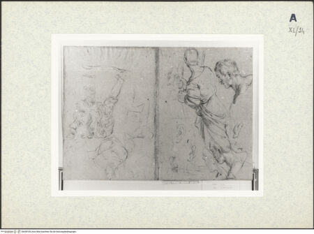 Vorderseite von bh438109_recto