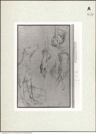 Vorderseite von bh438114_recto