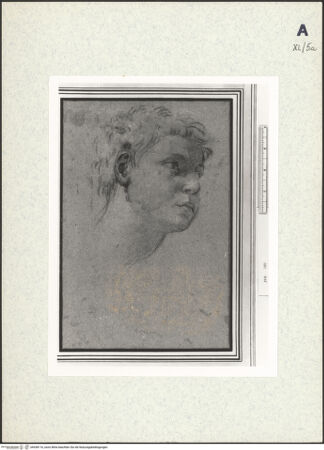 Vorderseite von bh438116_recto