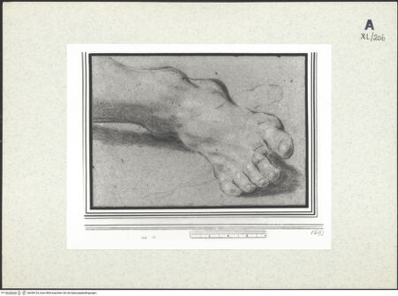 Vorderseite von bh438124_recto