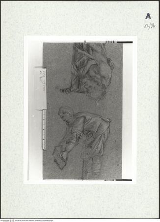 Vorderseite von bh438133_recto