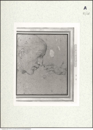 Vorderseite von bh438142_recto