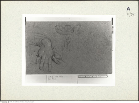 Vorderseite von bh438147_recto