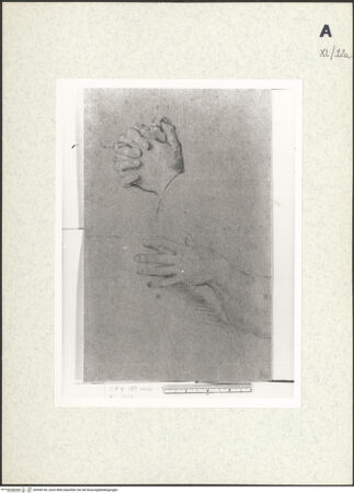 Vorderseite von bh438149_recto