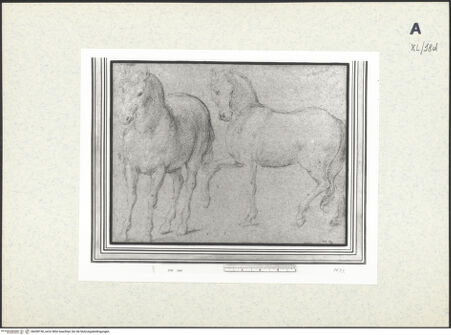 Vorderseite von bh438150_recto