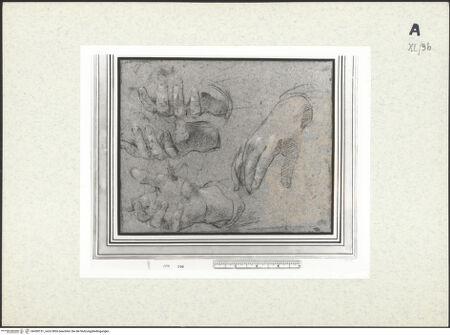 Vorderseite von bh438151_recto