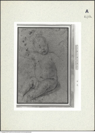 Vorderseite von bh438156_recto