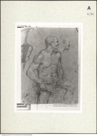 Vorderseite von bh438159_recto