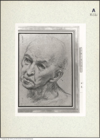 Vorderseite von bh438162_recto