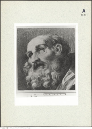 Vorderseite von bh438164_recto