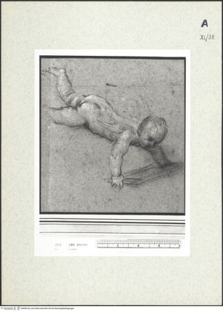 Vorderseite von bh438166_recto