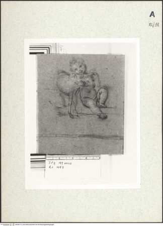 Vorderseite von bh438175_recto