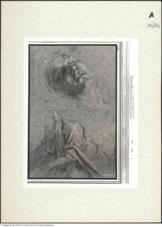 Vorderseite von bh438178_recto