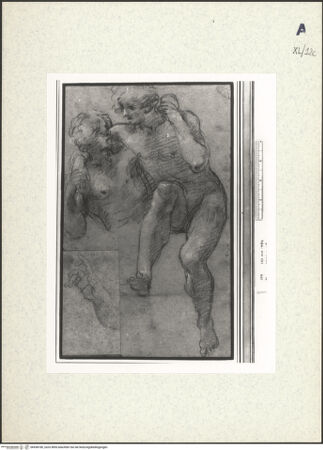 Vorderseite von bh438180_recto