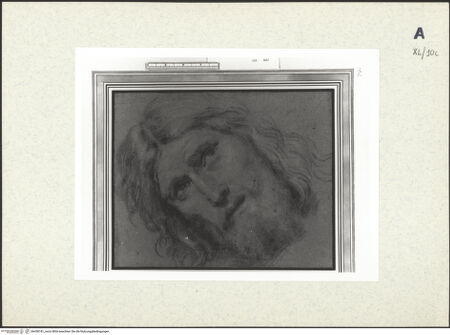 Vorderseite von bh438181_recto