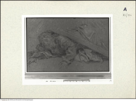 Vorderseite von bh438183_recto