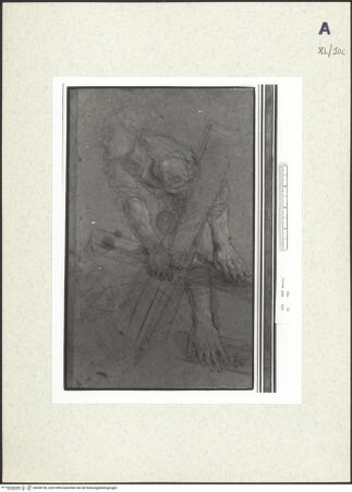 Vorderseite von bh438190_recto