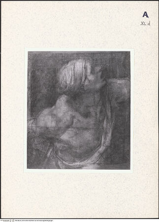 Vorderseite von bh438205_recto