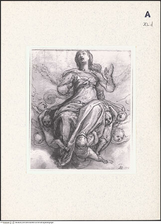 Vorderseite von bh438206_recto