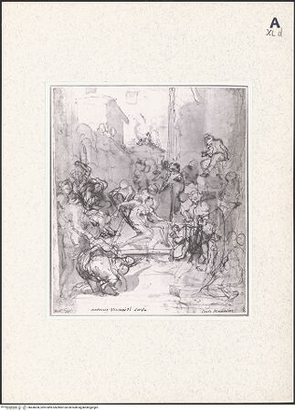 Vorderseite von bh438208_recto