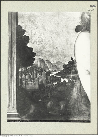 Vorderseite von bh438277_recto