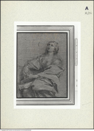 Vorderseite von bh438325_recto