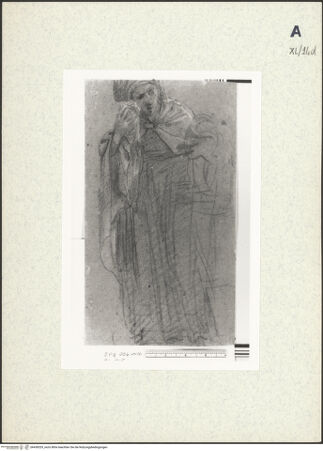 Vorderseite von bh438329_recto