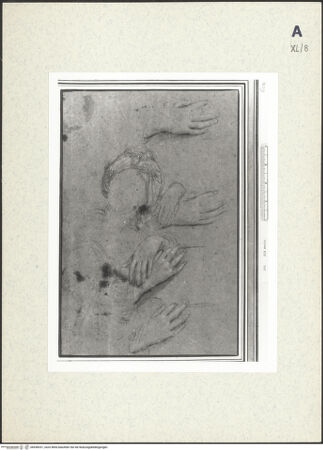 Vorderseite von bh438331_recto